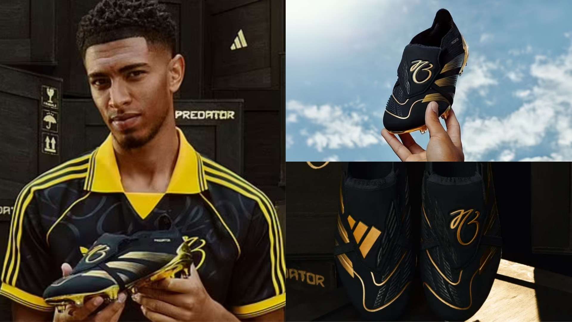 将以更为多 将以更为多