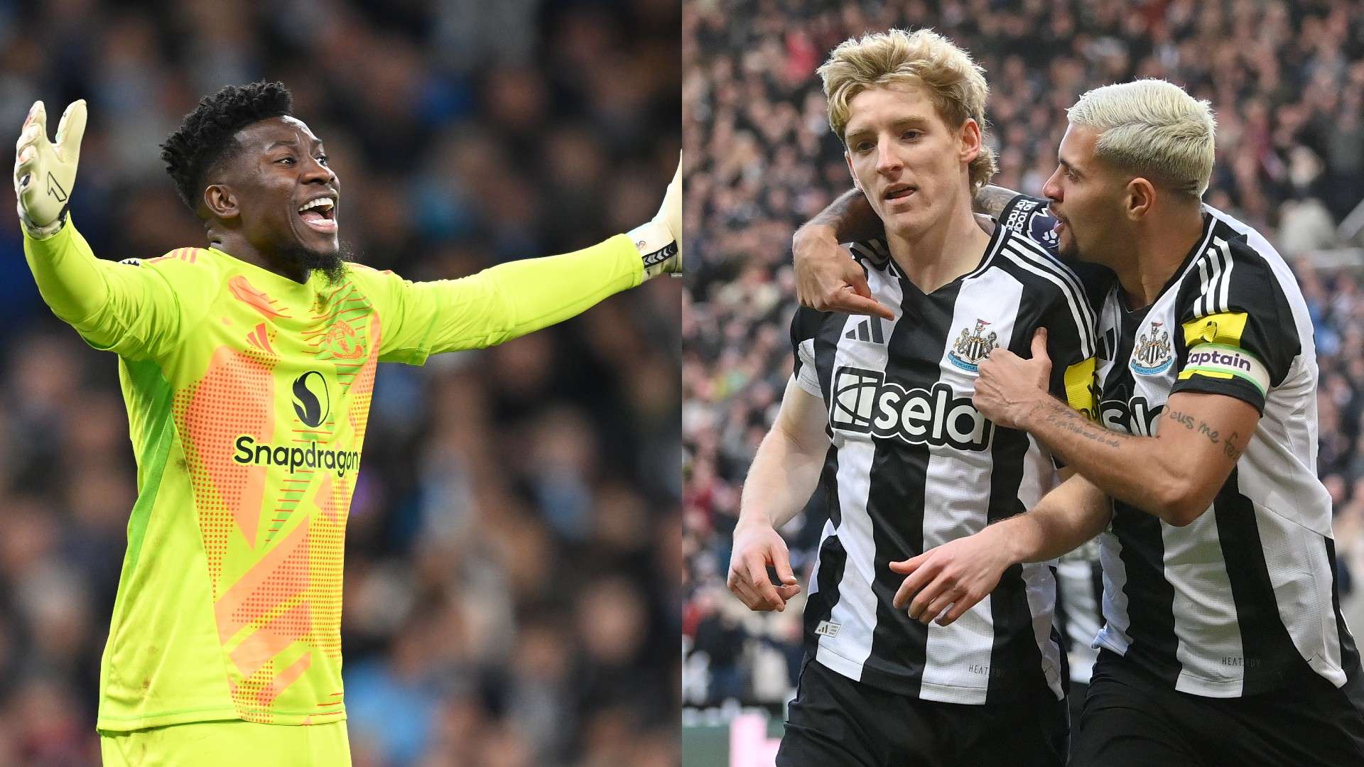 影响桑乔的 影响桑乔的