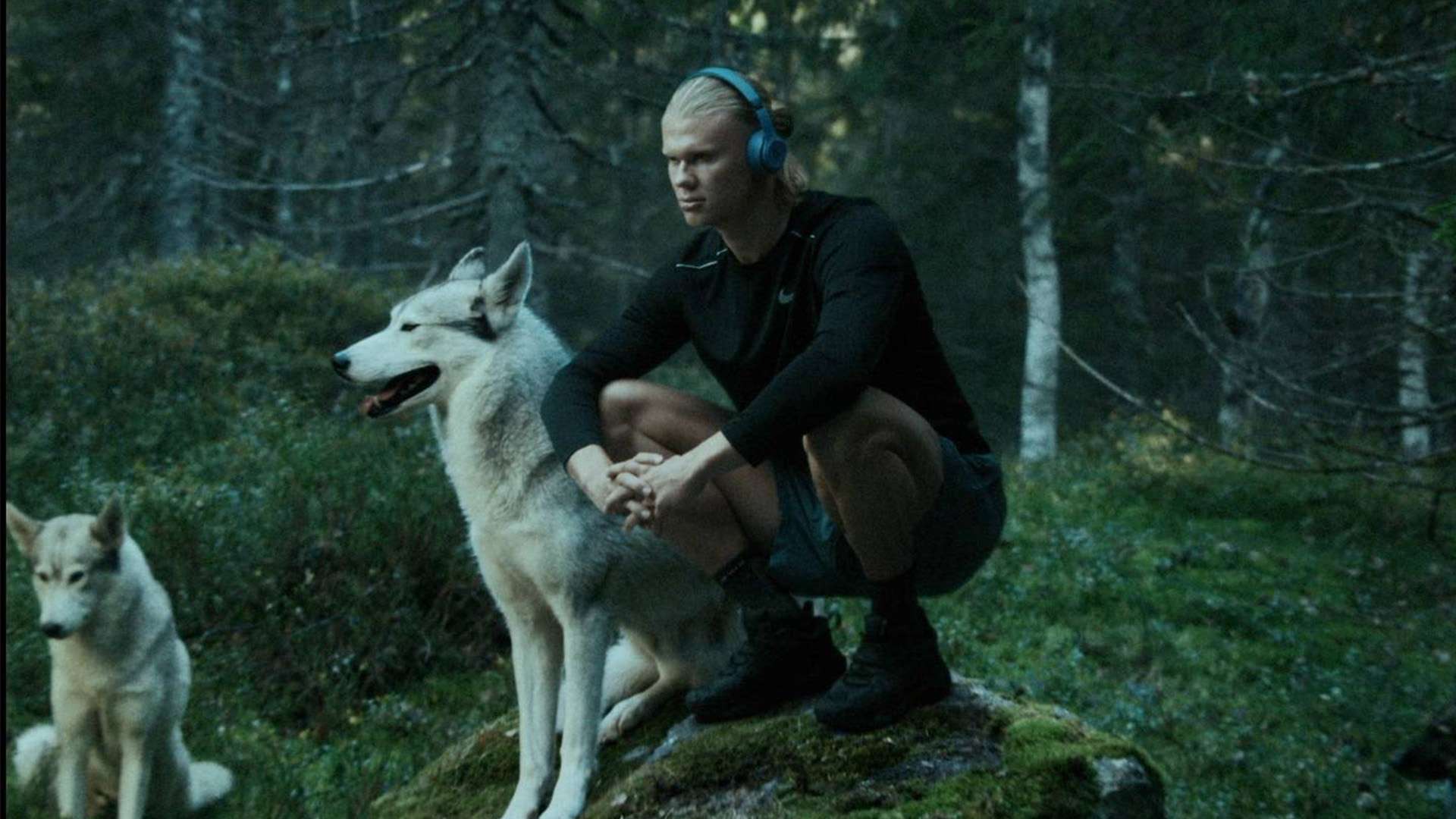 具体分析曼 具体分析曼